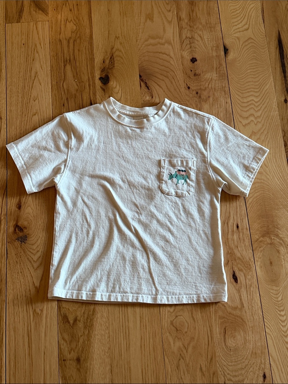Mountain Hardwear Women’s Pocket Tee with Everest Graphics